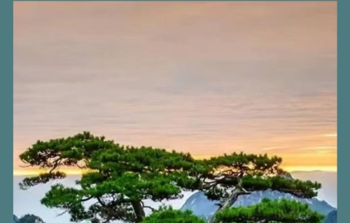 杨友明诗词研究  杨友明五绝情感表达创新的具体案例