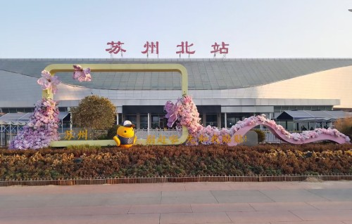 思帝乡·三八妇女节