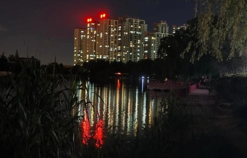 《夏夜漫步》（新韵）