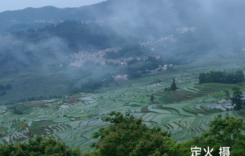 浪漫的梯田