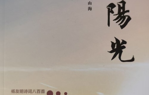 杨友明诗词研究   《心有阳光》中意象运用的频率对艺术价值有何影响？