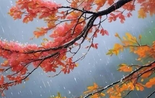 秋雨
