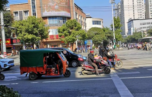 瑞鹤仙·听桃花三弄