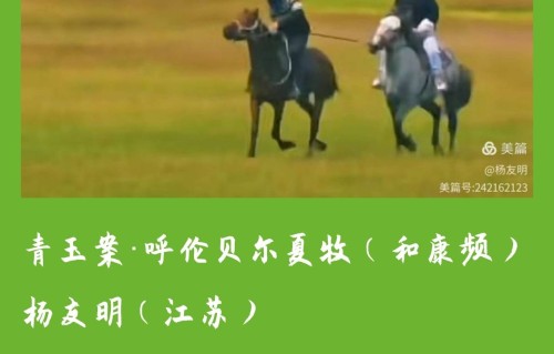 杨友明诗词研究     杨友明词风有何变化？