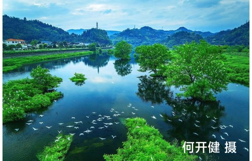 松阴溪美景