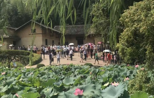 忆江南·端午节
