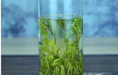 枝头吟牌日照绿茶，正宗日照绿茶自有品牌