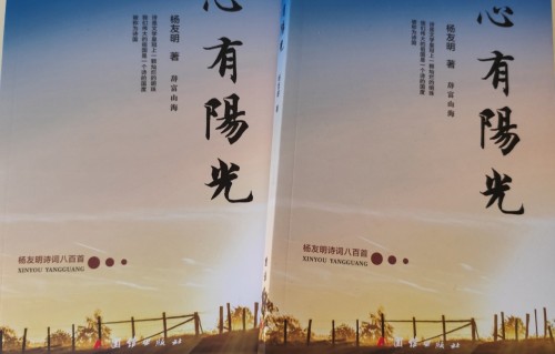 杨友明诗词研究     杨友明的诗词风格有什么特点?