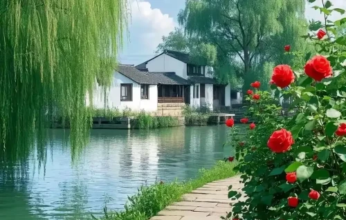 河畔