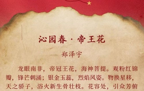 沁园春•帝王花