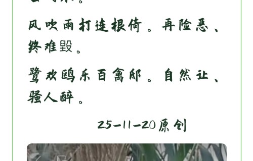 杨友明诗词研究  《心有阳光》中哪些具体诗词体现了意象运用对艺术价值的提升?