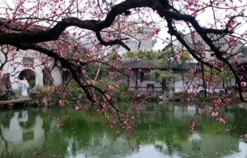 七律•祝愿下一代健康成长