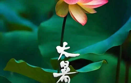 五绝·大暑