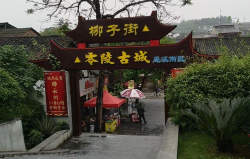 沁园春•乙巳叙怀辞年