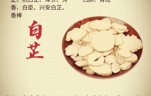 白芷（现代诗）
