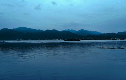 在风雨中，慢慢长大
