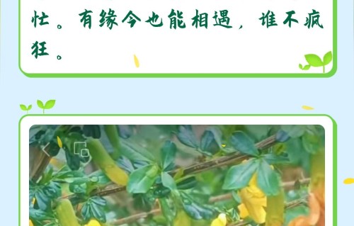 杨友明诗词研究    能具体说说杨友明描写自然的诗作有哪些吗？