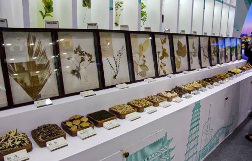 以中药名为题征集诗歌！一场助力四川宜宾加快建设中医药强市的诗歌大赛启动