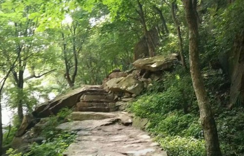 好事近·登阳明山