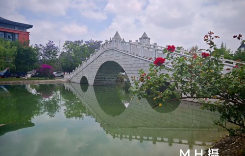 湖畔夏景