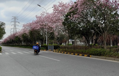 苏州园区街道美
