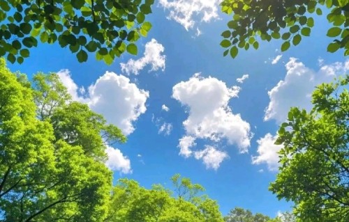 念奴娇•咏立秋