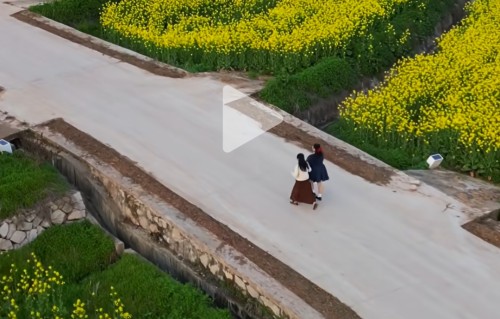 油菜花里的山下阳
