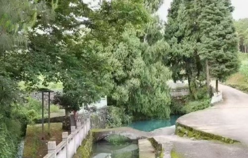 献天寿令·僅此敬献祖父母诞辰110周年（1916~2026）