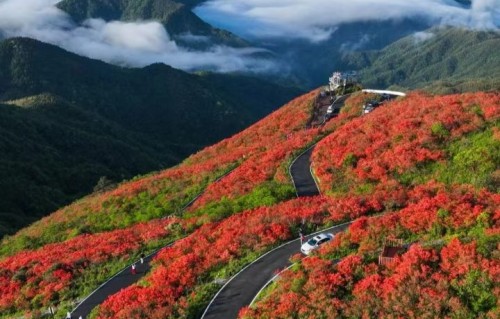 菩萨蛮·上海之旅