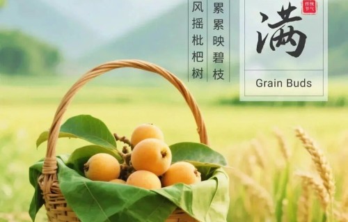 《小满》