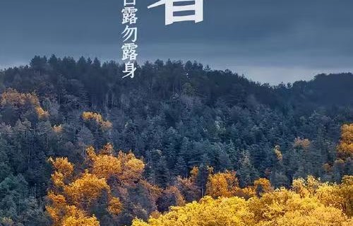 处暑