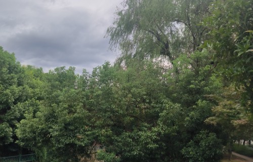 溪上秋闲