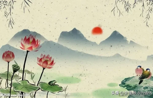 雨后观荷