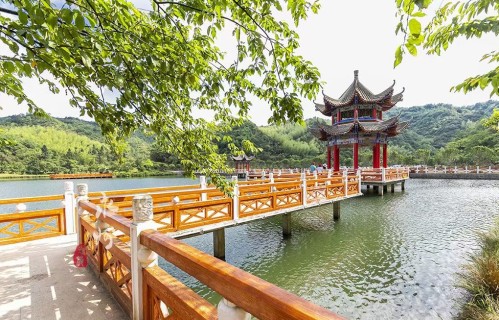换巢鸾凤·春情