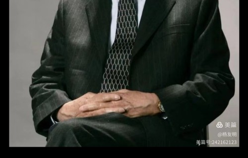 杨友明诗词研究  如何通过杨友明的意象表达理解他的人生哲学?