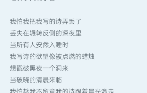 《我怕我把我的诗弄丢了》