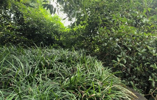 山行悟思