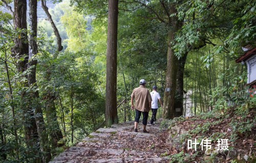 山行