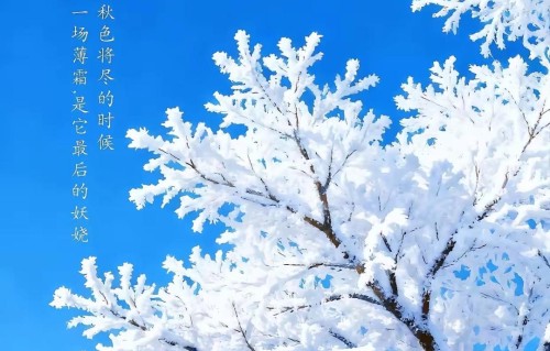 洞仙歌·霜降