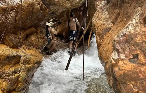 夏日登山