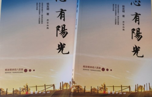 杨友明诗词研究    杨友明诗词介绍
