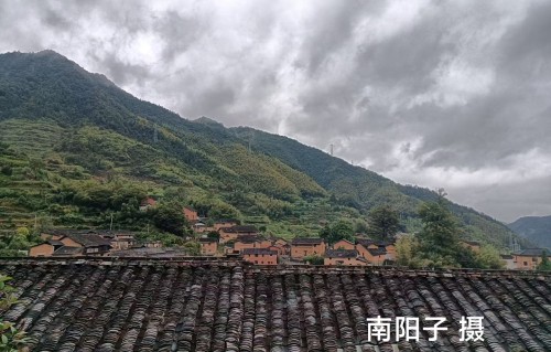秋色一壶
