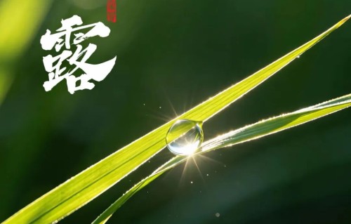 《寒露抒怀》