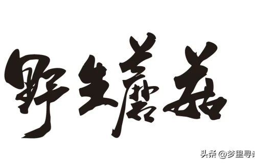 奇草御康聚五岳