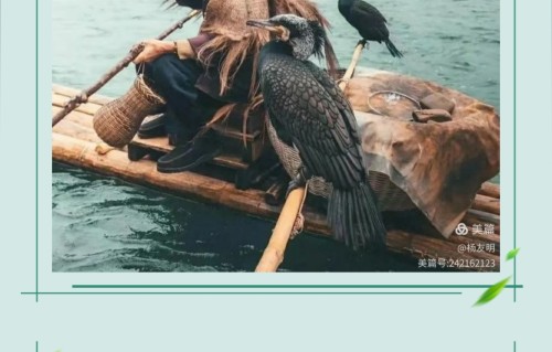 杨友明诗词研究    杨友明创新古典文学主题演绎对当代文学发展有怎样的影响？