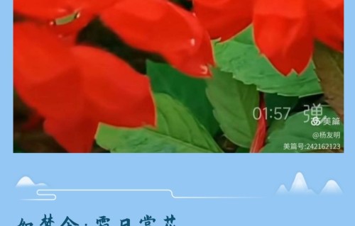 杨友明诗词研究   《心有阳光》中的自然意象有什么象征意义？