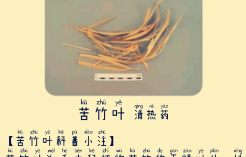本草风物｜苦竹叶