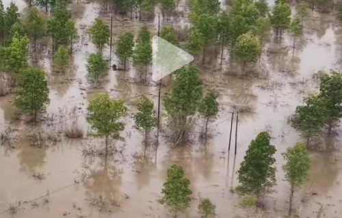 戈壁的雨