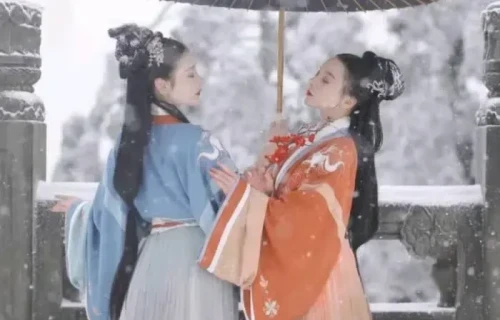 雪花飘飘盼君还