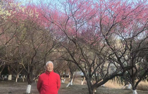 杨友明诗词研究   杨友明诗词选读